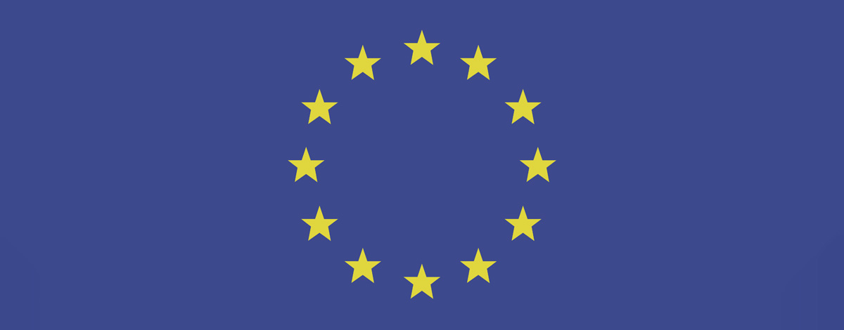 Services EU Settlement